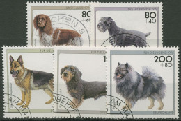 Bund 1995 Jugend: Tiere Hunde Hunderassen 1797/01 Gestempelt - Oblitérés