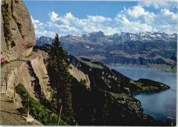 10572517 Rigi Kulm Rigi Kulm  * Rigi Kulm - Sonstige & Ohne Zuordnung