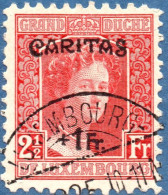 Luxemburg 1924, 2 + 1 Fr Caritas Overprint 1 Value Cancelled - Cristianesimo