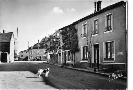 SAINT LOUP SUR AUJON - Café Restaurant F. Royer - Très Bon état - Autres & Non Classés