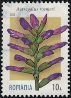 Roumanie 2022 Oblitéré Used Fleur Plante Astragalus Roemeri Y&T RO 6914 SU - Used Stamps