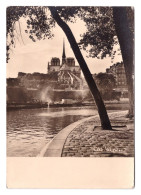 FRANCE // PARIS // NOTRE-DAME VUE DU QUAI D'ORLÉANS - Notre Dame De Paris