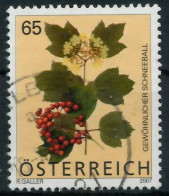 ÖSTERREICH 2007 Nr 2680 Gestempelt X2EA726 - Used Stamps