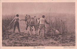 Les Laboureurs, Attelage De 2 Chevaux Tirant La Charrue (1165) - Equipos