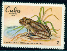 1969 Zapata Peninsula Fauna,tree Frog,Hyla Insulea,Cuba,1552,MNH - Frösche