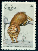 1969 Zapata Peninsula Fauna,dwarf Hutia,rodent,Capromys Nana,endangered,Cuba,1554,MNH - Other & Unclassified