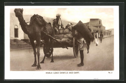 AK Kamelkarren, Maala Load Camels And Cart  - Sonstige & Ohne Zuordnung