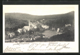 AK Schlangenbad, Totalansicht  - Schlangenbad