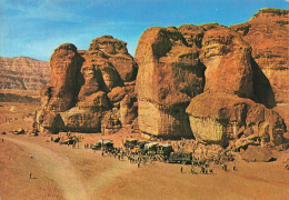 CPSM King Solomon's Pillars Near Eilat-Timbre   L2936 - Jordanië