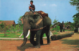 CPSM Thai Elephant Pulling The Teak Log , éléphant-Timbre   L2936 - Thailand