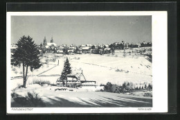 AK Freudenstadt Im Schwarzwald, Winterliches Panorama Der Stadt  - Freudenstadt