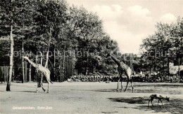 73833568 Gelsenkirchen Ruhr Zoo Gelsenkirchen - Gelsenkirchen