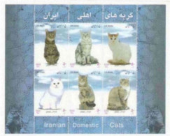 222 - Chats - Cats - Iran Yv 2701-06  MNH -  2,85 - Gatos Domésticos