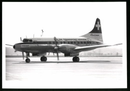 Fotografie Flugzeug Convair 540, Passagierflugzeug Der S.A. De Transport Aerien, Kennung HB-IMM  - Aviation