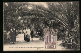 CPA Casablanca, Une Allee Du Jardin Public  - Casablanca
