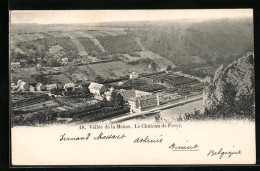 AK Hastière, Vallée De La Meuse, Le Château De Freyr  - Hastière