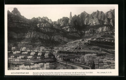 Postal Montserrat, Detalle De La Montana Desde Los Campos De A`mendros Floridos  - Other & Unclassified