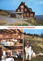 72480637 Krkonose Chata Dvoracky Bernhardiner  - Pologne