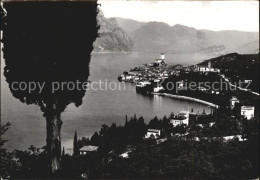 72479639 Malcesine Lago Di Garda Panorama Gardasee Malcesine - Sonstige & Ohne Zuordnung