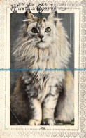 R122091 Greetings. With All Good Wishes. She. A Cat. Milton. 1909 - World