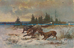 R122667 Old Postcard. Dogs Hunting. Hildesheimer - World