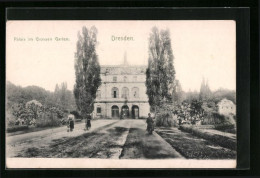 AK Dresden, Palais Im Grossen Garten  - Dresden