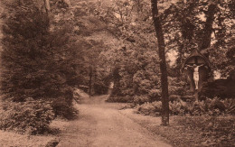 Amay (Abbaye De Flône, Dames De L'Instruction Chrétienne) - Une Allée Du Parc - Amay