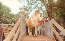 72784813 Chincoteague Auction Chincoteague Pony Penning - Andere & Zonder Classificatie