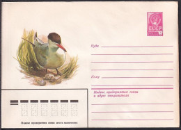 Russia Postal Stationary S0249 Bird, Caspian Tern - Albatrosse & Sturmvögel