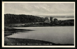 AK Bansin / Seebad, Forsthaus Fangel Zwischen Gr. Krebs-See Und Schmollen-See  - Jagd