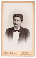 Fotografie Otto Putzar, Cottbus, Gymnasialstrasse 14, Eleganter Herr Mit Moustache  - Anonieme Personen