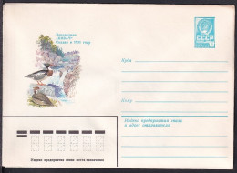 Russia Postal Stationary S0378 Kivach Falls, Duck - Ducks