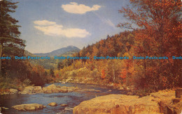 R122950 Greetings From Penticton. B. C. Mike Roberts. 1957 - World