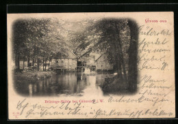 AK Gütersloh I. W., Brünings-Mühle Vom Wasser Gesehen  - Guetersloh