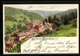 Lithographie Rippoldsau, Ortsansicht Mit Umgebung Aus Der Vogelschau  - Other & Unclassified