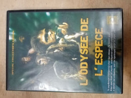 DVD Film - L'odyssée De L'espèce - Other & Unclassified