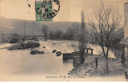 CHOIGNES - Le Bief Du Moulin - Très Bon état - Sonstige & Ohne Zuordnung