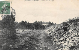 COLOMBEY LES BELLES - Barrière Dans Les Sapins - Très Bon état - Colombey Les Belles