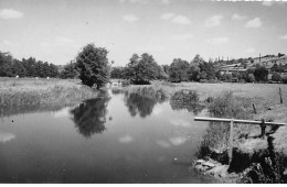 TANNAY - CUZY - Les Bords De L'Yonne, La Baignade - Très Bon état - Tannay