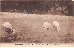 ETREPAGNY - Maison Sainte Isabelle - Moutons Au Pâturage - Très Bon état - Other & Unclassified