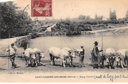 SAINT HONORE LES BAINS - Etang Honoré - Très Bon état - Saint-Honoré-les-Bains