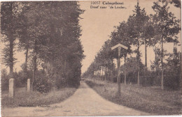 Kalmthout :  Dreef Naar De Linden   --------  HOELEN 10057 - Kalmthout