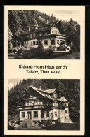 AK Tabarz /Thür. Wald, Richard-Horn-Haus Der SV  - Tabarz