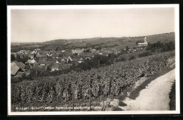 AK Auggen I. Baden, Ortsansicht Mit Weinbergen  - Baden-Baden