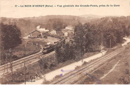 LE BOIS D'OINGT - Vue Générale Des Grands Ponts, Prise De La Gare - Très Bon état - Le Bois D'Oingt
