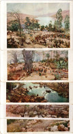 Lot 5 CP Illustrées Panorama Du Congo  Divers ( Vendu  Au Profit Des Oeuvres Philanthropiques Belges Au Dos ) - Congo Belge