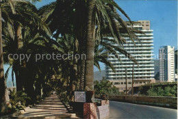 72469210 Puerto De La Cruz Hotel San Felipe Palmen Promenade  - Sonstige & Ohne Zuordnung