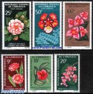 Cameroon 1966 Flowers 6v, Mint NH, Nature - Flowers & Plants - Camerún (1960-...)