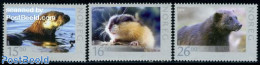 Norway 2010 Animals 3v, Mint NH, Nature - Animals (others & Mixed) - Bears - Nuevos