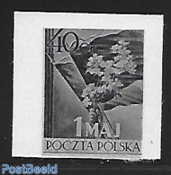 Poland 1954 Blackprint Imperforated., Mint NH, Nature - Flowers & Plants - Nuovi